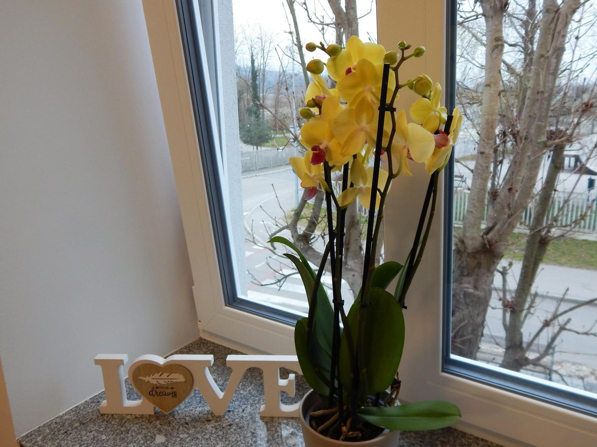 Guesthouse Pr'Sefu Брежице Номер фото